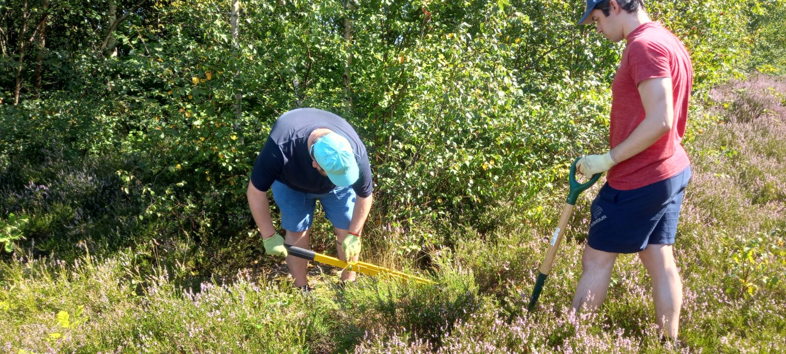men taking part in heathland maintenance in woodland