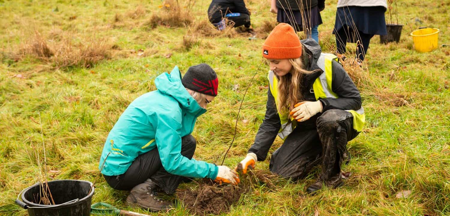 Two individuals in winter clothes tree planting