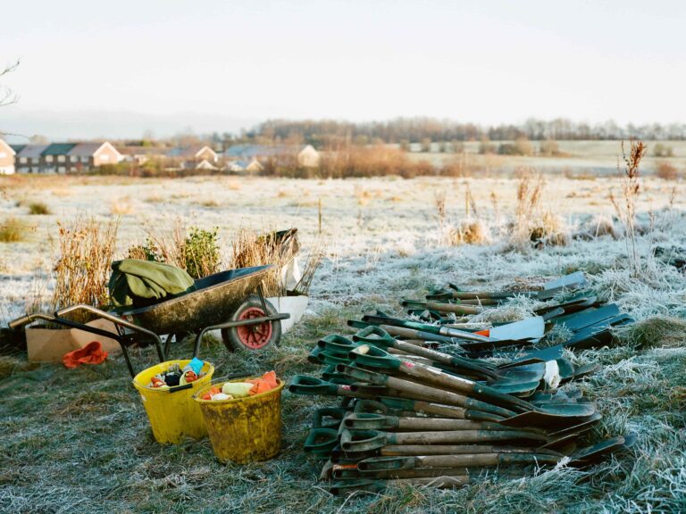 Spades and buckets for tree planting