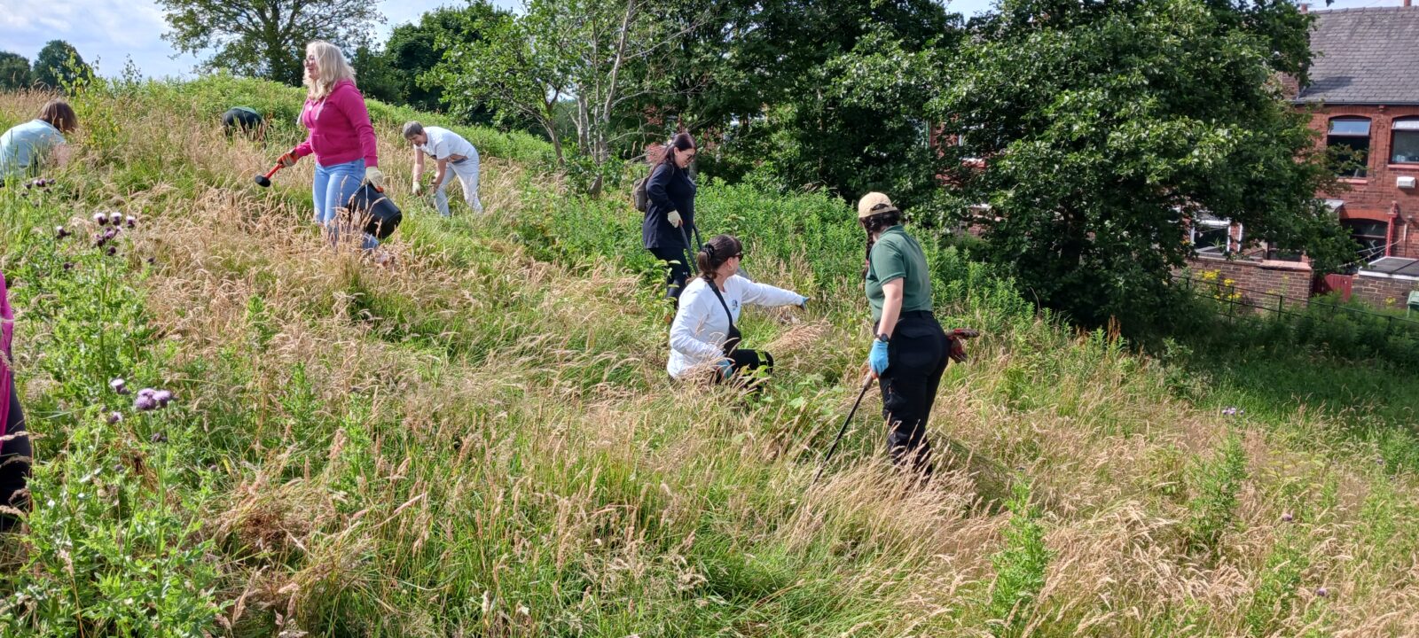 people doing woodland management