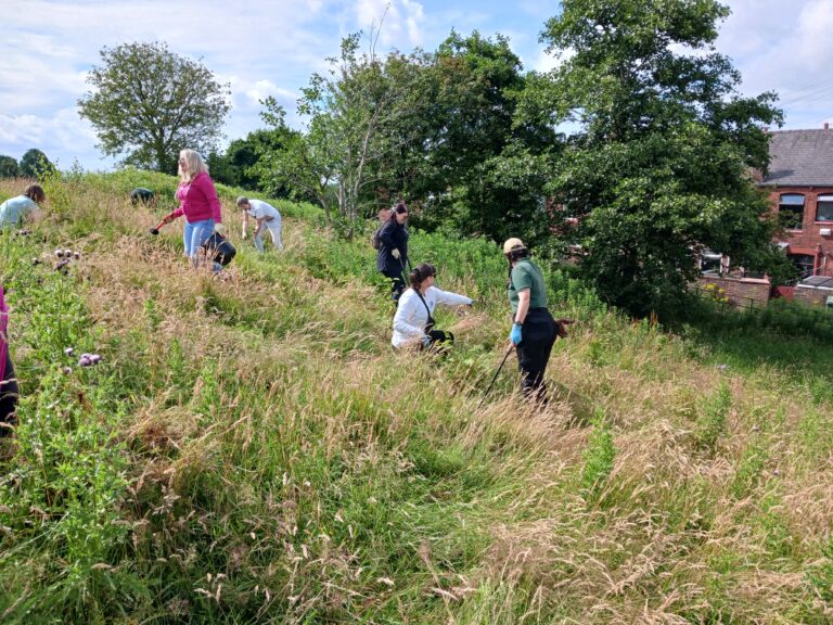 people doing woodland management