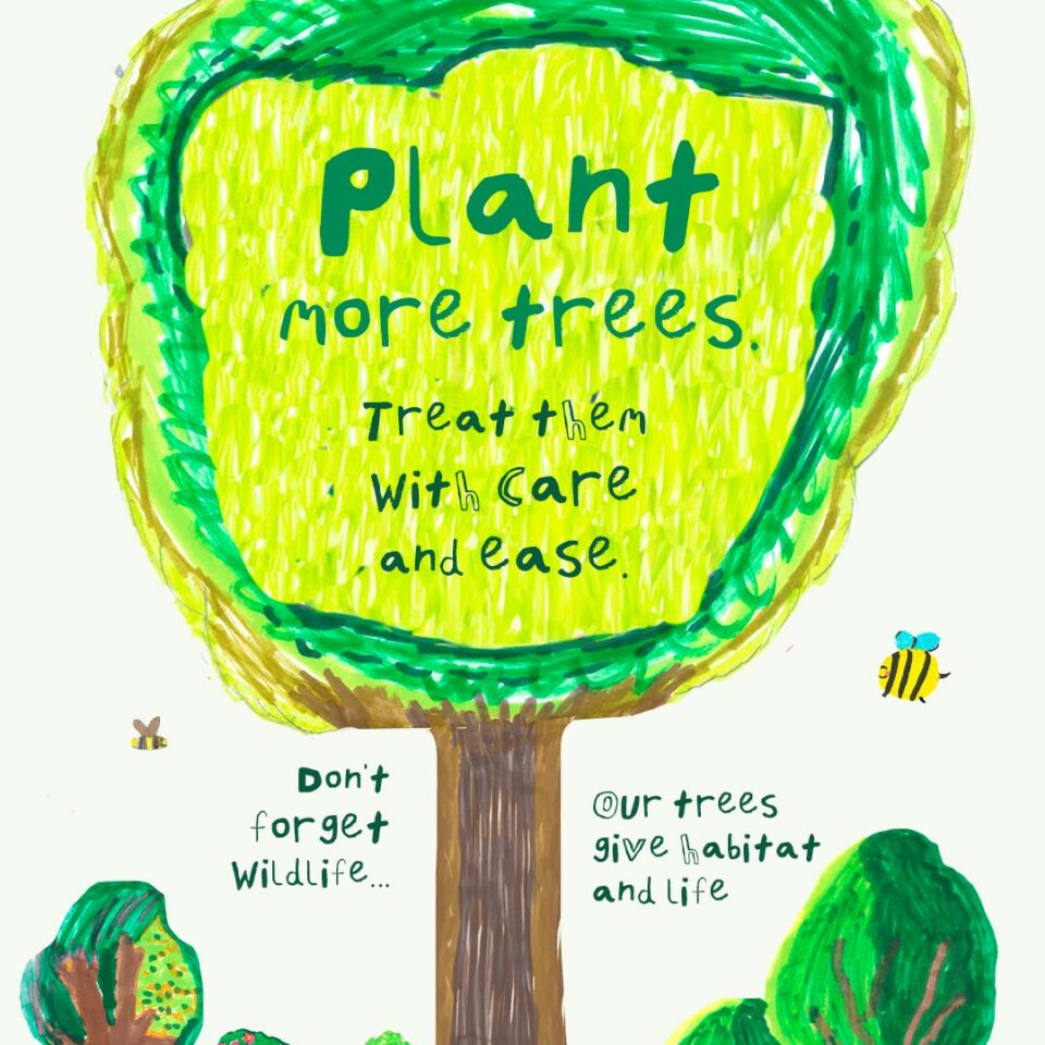 Example of childrens manifesto for our tree engagement project