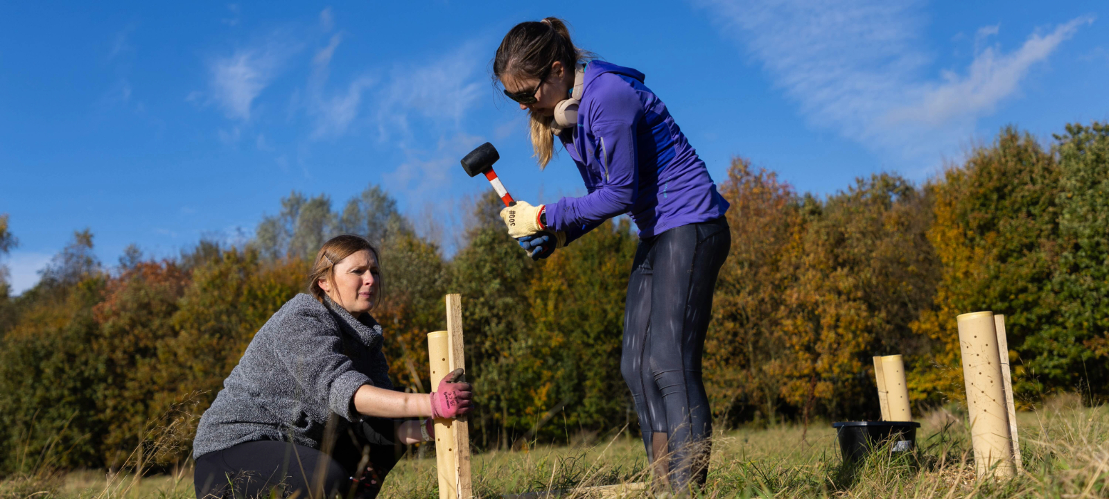 two ladies planting tree, hammering in tree guard