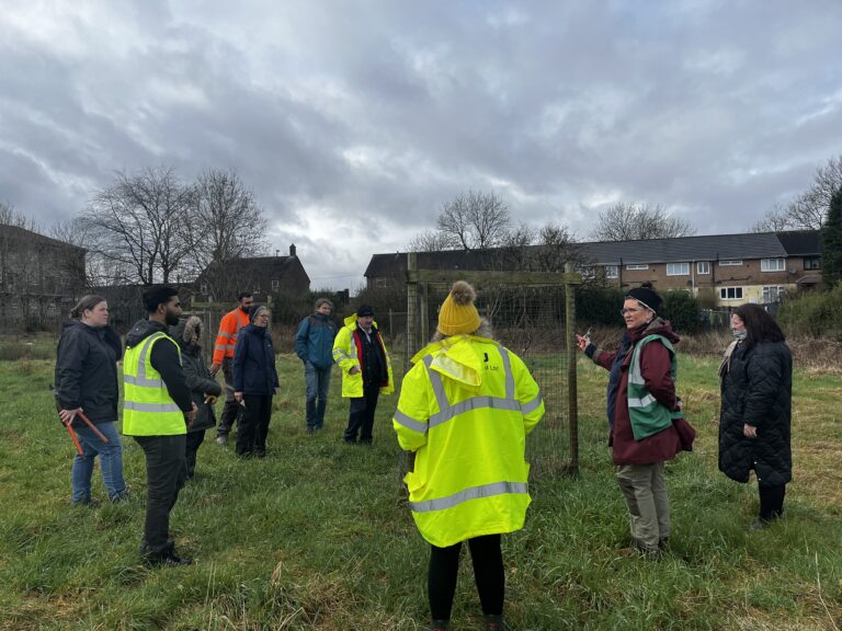 fruit tree pruncing workshop