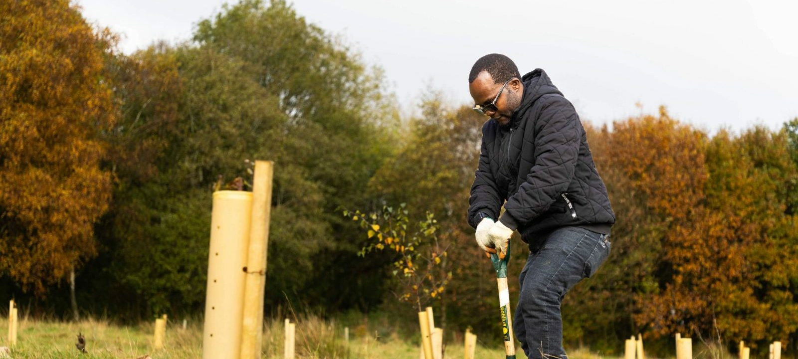 man digging to plant a tree